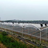 Grande serre multi-voûtes pour l'agriculture avec système d'irrigation, de refroidissement, de ventilation et d'hydroponie