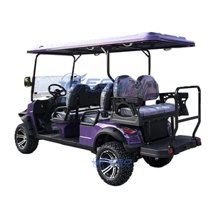 Voiturette de golf électrique XCEGO avec certification EEC/CE/DOT, garantie 1 an, vitesse 30 km/h, transport spécial/véhicule électrique - Product Image 4