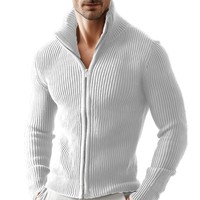 Nouveau Cardigan Zippé Polyvalent pour Homme, Manches Longues, Col Montant Côtelé, Coupe Slim, Couleur Unie, Automne, 100% Coton
