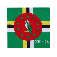 Vente en gros de bandanas en coton doux, coupe-vent, de haute qualité, avec drapeaux du Honduras, de la Sainte-Kitts-et-Nevis, de Dominique, d'Antigua-et-Barbuda, foulard carré