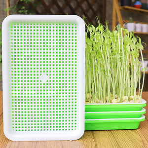 Vassoio Micro verde autodidatta doppio vassoio idroponico per vivaio - Product Image 5