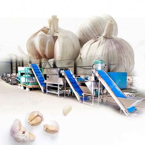 Petit éplucheur industriel de racine d'ail Machine vibrante de calibrage d'ail Ligne de production d'applications alimentaires - Product Image 5