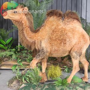 Modèle de chameau réaliste de simulation pour la décoration à thème animalier des parcs d'attractions - Product Image 2