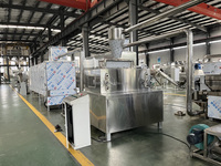 Ce Aangepaste Granen Maïs Snacks Voedsel Verwerking Maker Machine Productielijn Plant