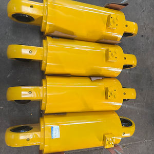 בוכנה הידראולית ימית תת-ימית בהתאמה אישית לייצוב היגוי ספינות, טיפול במטען, פלדה בעלת תקן ISO9001 - Product Image 3