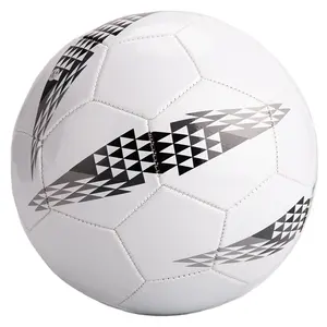 Hot selling professional soccer ball of the world soccer & football