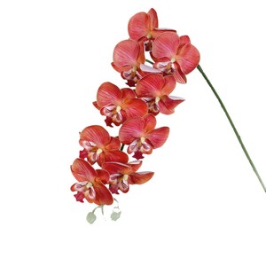 Orquídeas Phalaenopsis Artificiales, Flores Realistas en 3D, Decoraciones para Bodas, Decoración del Hogar, Arreglos de Plástico y Tela para Piso - Product Image 5