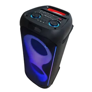 Oplaadbare Versterker Draadloze Mic Karaoke 100W Partybox Bluetooth Speaker Soundbox Met Usb