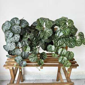Panel de Pared de Hojas de Hiedra Artificial al por Mayor, Decoración de Pared de Plantas Verdes para Interiores y Exteriores, Patio, Valla de Privacidad, Bricolaje - Product Image 1