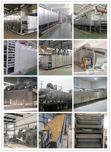 Máy sấy băng tải liên tục cho thức ăn thú cưng, nho, việt quất, rong biển, ớt, thảo mộc, dừa - Product Image 4