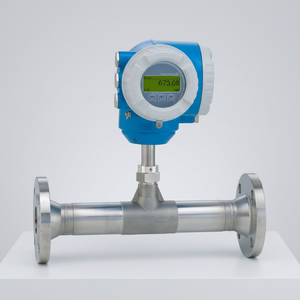 Débitmètre massique thermique Endress+Hauser 6F3B1H Proline T-mass F 300 DN15 pour gaz - Product Image 6
