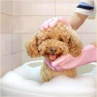 Supermarkt Commerciële Aankoop Keukenreiniging Schrobber Honden Katten Afwashandschoenen Silicone Opvouwbaar Luxe Voorraad Huisdierbad