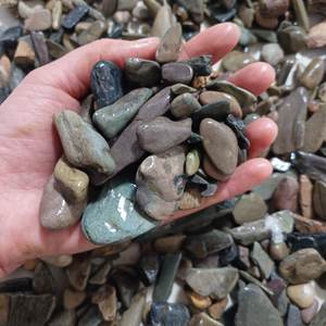 Dragón verde y corteza de pino natural Acuario Piedras decorativas Mayorista de rocas en un arroyo Hecho de piedra natural - Product Image 4