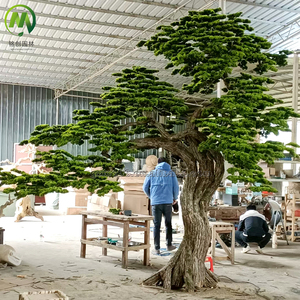 Árbol Bonsái Artificial de Podocarpus para Interiores, Adornos de Jardín, Simulación de <span class=keywords><strong>Pino</strong></span>, Árbol de <span class=keywords><strong>Pino</strong></span> Artificial - Product Image 6