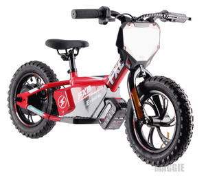 Bicicleta Eléctrica sin Pedales de 36V 2.5AH, 12 Pulgadas, para Niños de 3 a 8 Años, Bicicleta de Equilibrio para Niños - Product Image 4