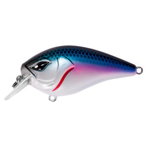 नॉबी ट्राउट चुंबक वर्ग बाट बीच मध्य-गहराई बेस क्रैंकबाट - Product Image 1