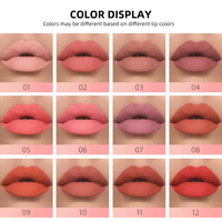 Coffret Cadeau Magnétique de 12 Gloss à Lèvres de Haute Qualité – Fini Mat, Anti-Transfert, Longue Tenue, Rouge à Lèvres Liquide