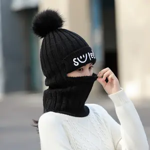 Wholesale Fast Delivery Embroidery Logo Full Face Knit Hats With Ear Protection Windproof Thickness Hats