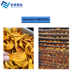 Công nghiệp điện thực phẩm dehydrator trái cây và rau Máy sấy máy được sử dụng cho XOÀI SẤY Rau các loại cây trồng khác - Product Image 6