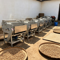 Machine à décortiquer les noix de cajou à économie d'énergie, machine artificielle pour les noix de cajou