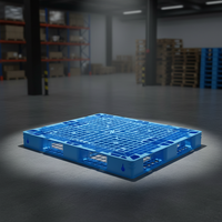 Palette en plastique à usage unique 1210 H 120 F, à 4 voies, pour stockage et emballage, antidérapante, recyclable, pour entrepôt