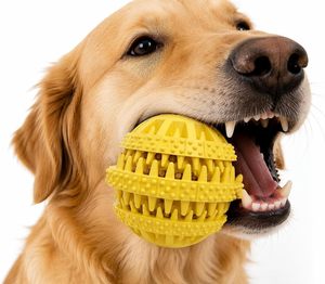 Juguete Masticable de Goma Suave para Perros, Pelota de Juguete Resistente para Masticar y Limpiar los Dientes - Product Image 2
