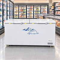 Congélateur coffre à double porte, congélateur profond à double couvercle, roulettes blanches, OEM ODM, vente en gros pour supermarchés et restaurants