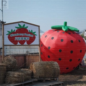 <span class=keywords><strong>Fraise</strong></span> géante gonflable surdimensionnée, réaliste, pour festival <span class=keywords><strong>de</strong></span> la récolte, activation <span class=keywords><strong>de</strong></span> marque, affichage en supermarché, fête - Product Image 2