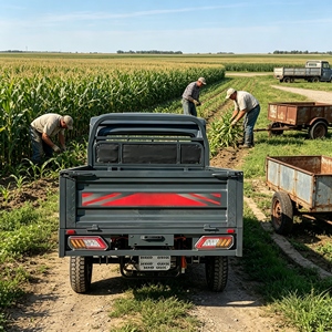Certification CEE, camion électrique léger de 1000 kg, vitesse réglable, 25 km/<span class=keywords><strong>h</strong></span>, 40 km/<span class=keywords><strong>h</strong></span>, moteur 3000 W, transport agricole, transport de marchandises lourdes - Product Image 4