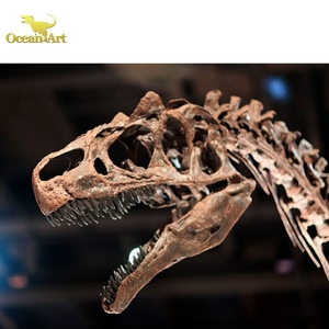 Parque de dinosaurios dinosaurio fósil real T Rex esqueleto para la venta - Product Image 2