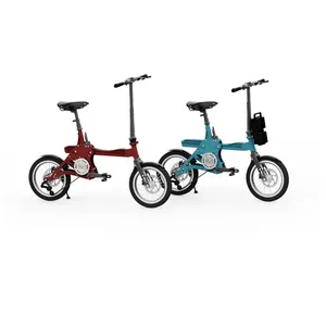 优秀的运动器材生产商重量16千克城市用折叠电动自行车