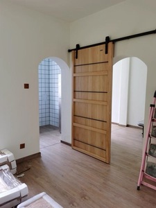 Thiết kế hiện đại rắn cửa gỗ đơn cửa tủ quần áo bên trong trượt Barn Door thiết kế - Product Image 6