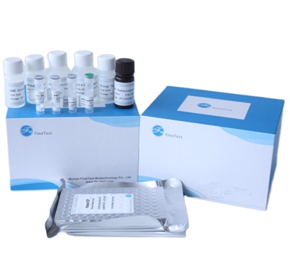 Super market Reaserch use Human IFNW1(Interferon omega-1 ) ELISA Kit
