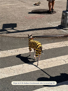 Nouveauté Printemps 2026 : Vêtements pour chiens en gros, Pulls en coton personnalisés et tendance pour toutes les tailles, Vêtements haut <span class=keywords><strong>de</strong></span> gamme pour teckels - Product Image 3