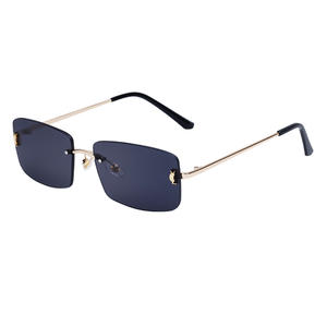 Nouvelles lunettes de soleil sans monture unisexes, petites lunettes carrées en PC, protection UV400, monture en métal noir et plastique DG-98236-C - Product Image 1
