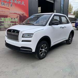 新能源热销高品质智能五门四座3500瓦低速环保电动车出售 - Product Image 5