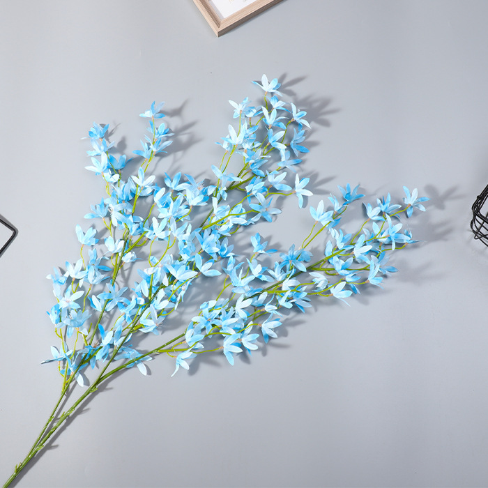 Orquídea Oncidium azul cielo