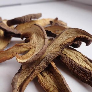 Hongos Porcini Secos Comestibles Niu Gan Jun, Hongos Penny Bun en Venta - Product Image 2