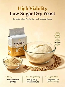 <span class=keywords><strong>Levadura</strong></span> Seca Activa de Grado Industrial Baja en Azúcar con Buena Resistencia a la <span class=keywords><strong>Sal</strong></span> para Masa Magra, Materia Prima para Hornear - Product Image 2