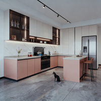 Meubles de cuisine modulaires sur mesure en laque, fabriqués en Chine, avec îlot central, support OEM
