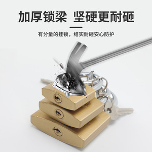 กุญแจทองเหลืองเลียนแบบ Leves กุญแจขนาดเล็กพร้อมกุญแจป้องกันการโจรกรรม กันน้ำ ใช้กลางแจ้งได้ กุญแจมาสเตอร์คีย์ สำหรับความปลอดภัยภายในบ้าน - Product Image 4