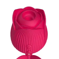 Usb şarj edilebilir klitoral titreşimli meme masajı gül şekli vajina oyuncaklar emme vibratör kadınlar için