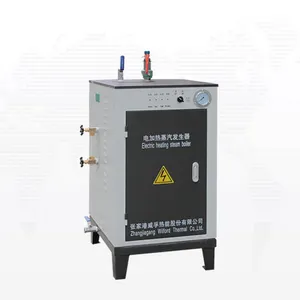 12-125kg/h easily installation small Vertical electric steam generator