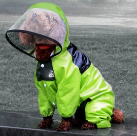 <span class=keywords><strong>Chubasquero</strong></span> para perros con cara de perro, ropa para mascotas, mono, chaqueta impermeable, ropa resistente al agua para perros - Product Image 3