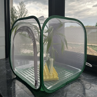 Enclos pliable de luxe pour insectes, avec fermeture éclair, pour papillons Monarches, cage respirante pour animaux de compagnie avec design pop-up et plateau en plastique