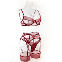 Ensemble de lingerie transparente avec soutien-gorge en maille à maintien de la poitrine à 8,5 $