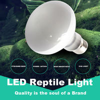 Ampoules chauffantes pour reptiles SHENGXIANG 80W 100W 125W 160W, lampes UVB pour reptiles