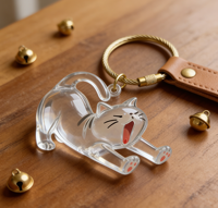 KM Sporty Kitten Cat Hair Pet Fur Cartoon Pattern Fireproof Hard-Wearing Transparent Acrylic Plastic Memory Keepsake Letterpress