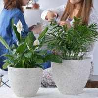 Pot dan Planter Bunga GREENSHIP untuk Tanaman Dalam Ruangan