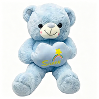 Ours en peluche bleu avec motif nuage ensoleillé et arc-en-ciel brodé, éclairage LED rechargeable par USB, 51cm-99cm, animal en peluche unisexe